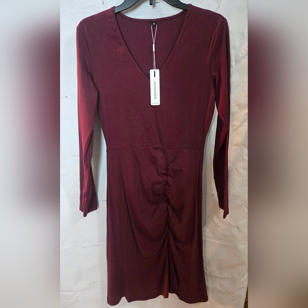Chic Burgundy Long Sleeve Dress by Express